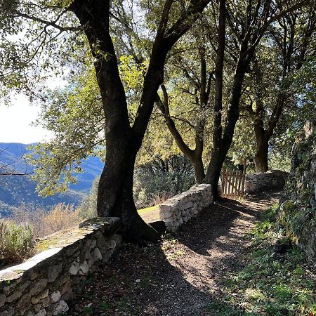 Les Gites D'Ardaillers Valleraugue Bagian luar foto
