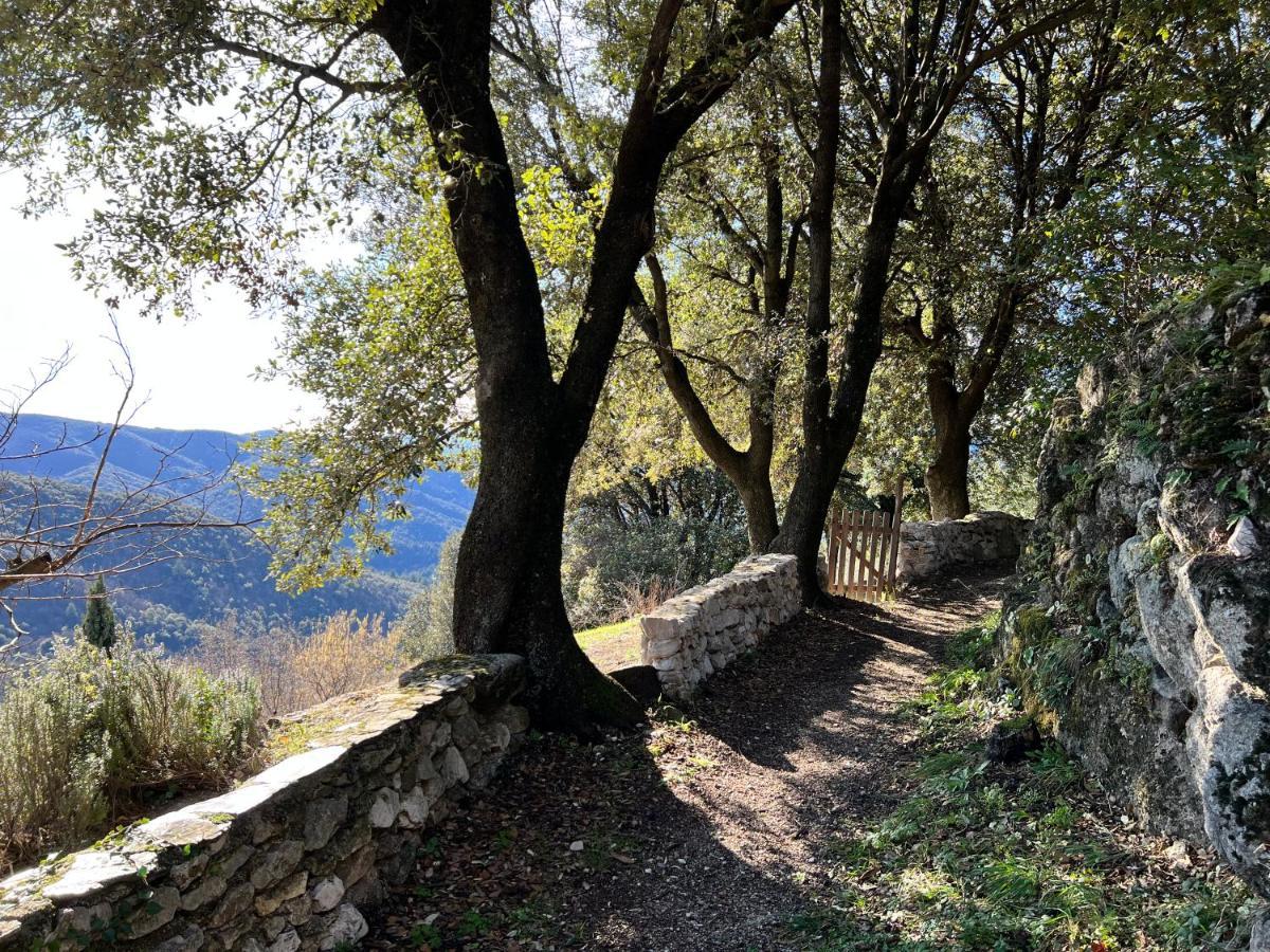 Les Gites D'Ardaillers Valleraugue Bagian luar foto
