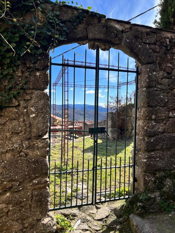 Les Gites D'Ardaillers Valleraugue Bagian luar foto