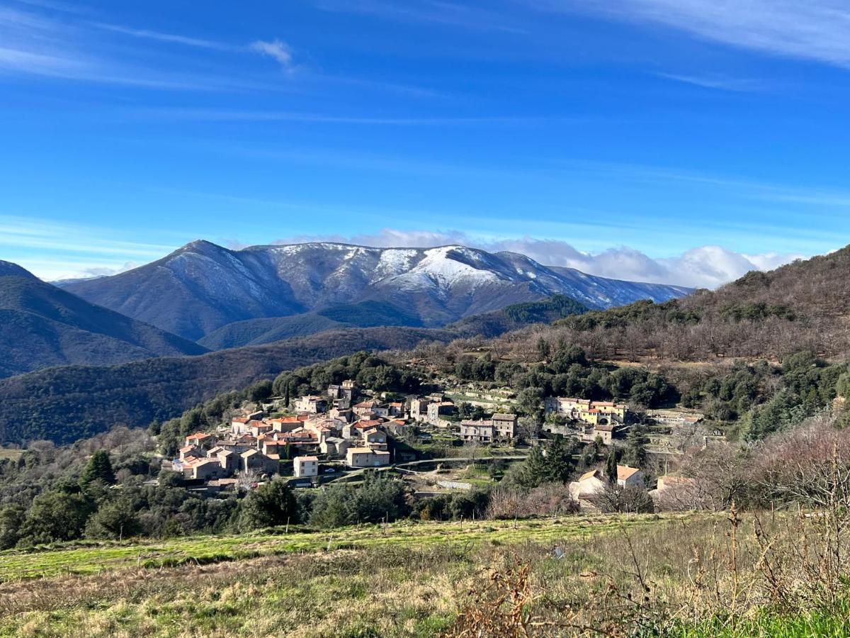 Les Gites D'Ardaillers Valleraugue Bagian luar foto