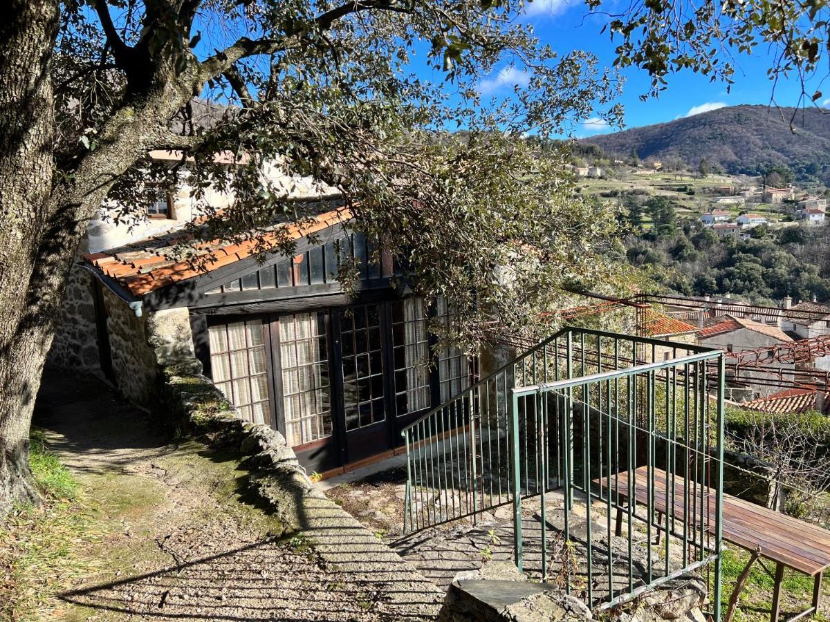Les Gites D'Ardaillers Valleraugue Bagian luar foto