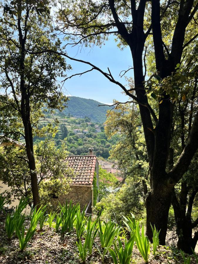 Les Gites D'Ardaillers Valleraugue Bagian luar foto