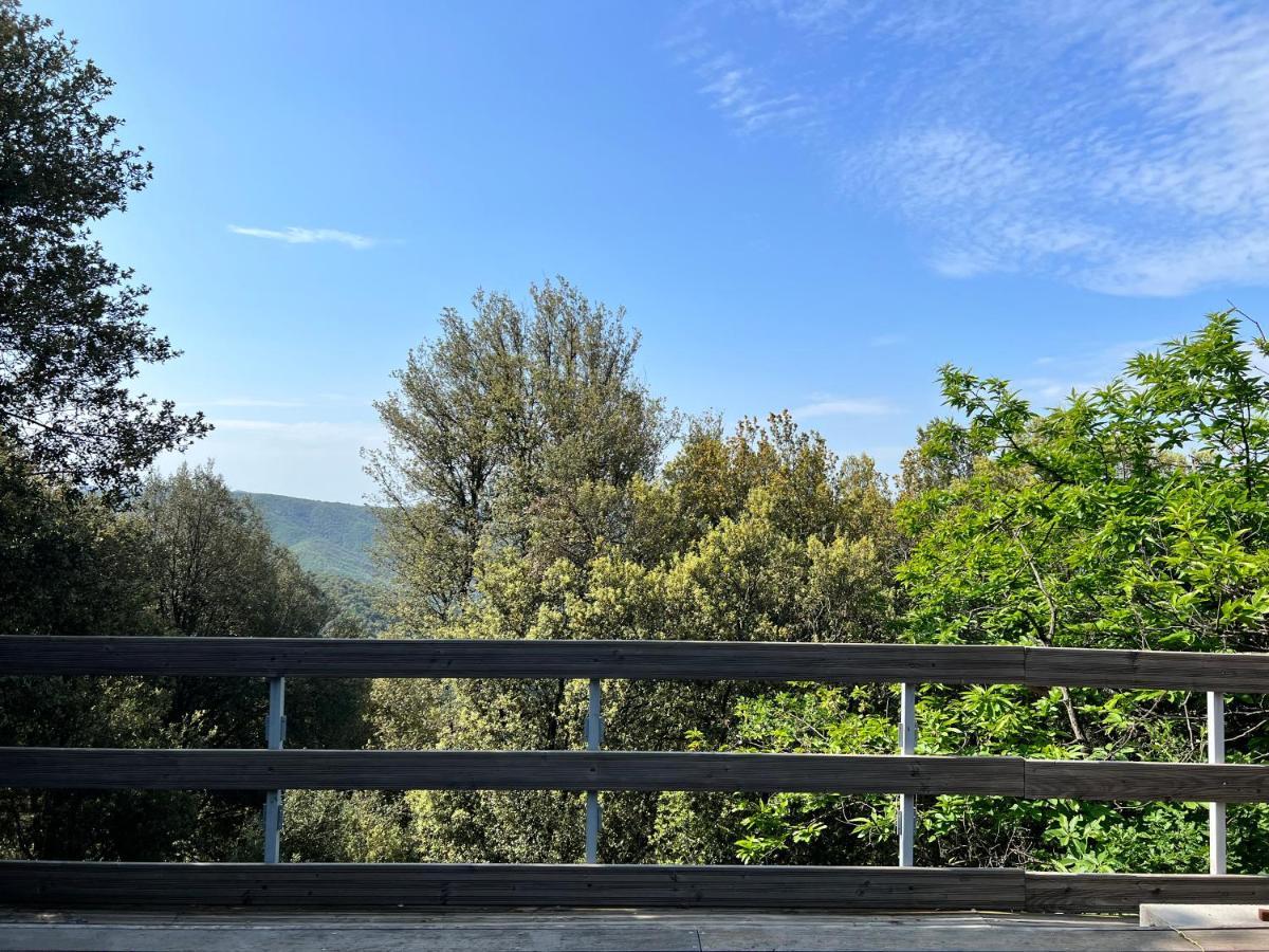 Les Gites D'Ardaillers Valleraugue Bagian luar foto