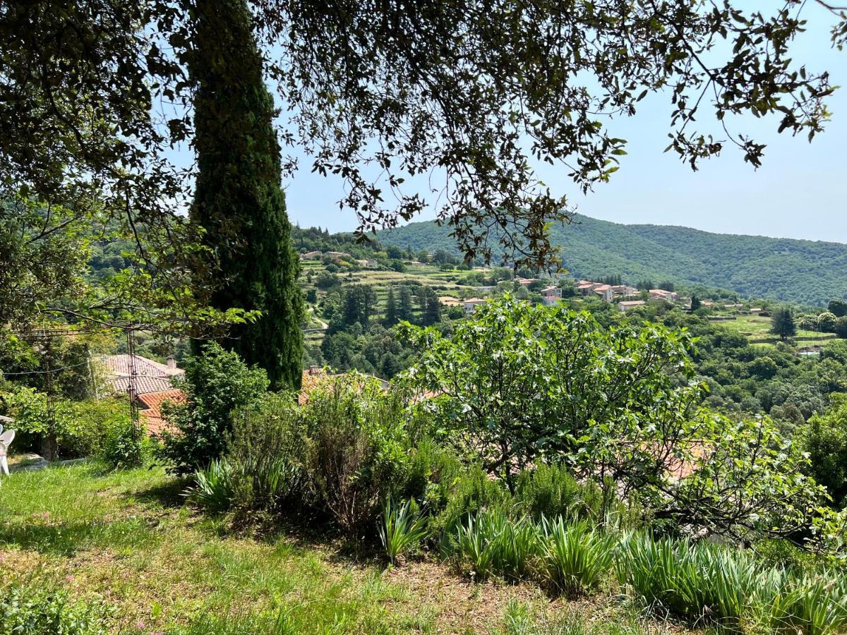 Les Gites D'Ardaillers Valleraugue Bagian luar foto