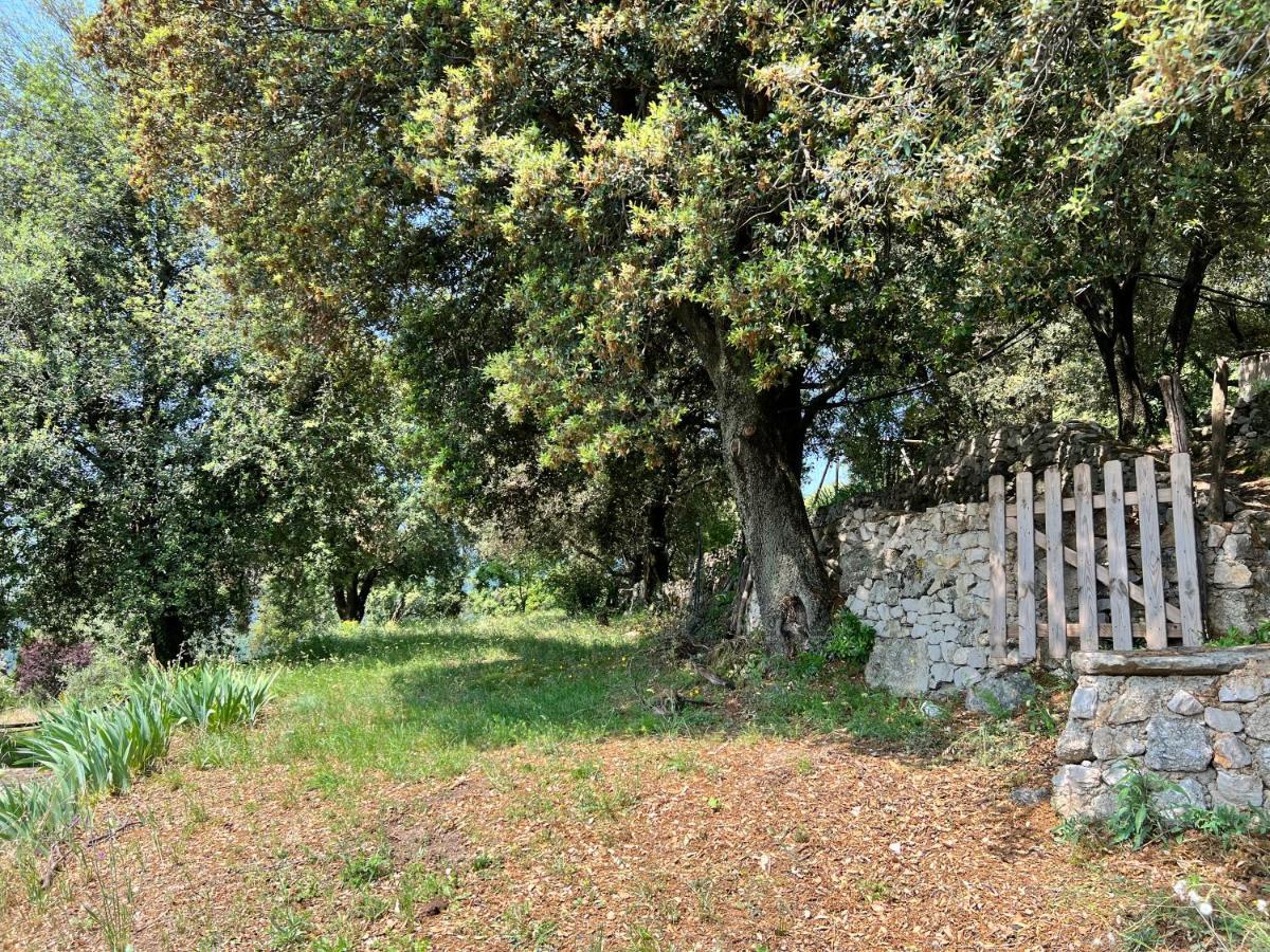 Les Gites D'Ardaillers Valleraugue Bagian luar foto