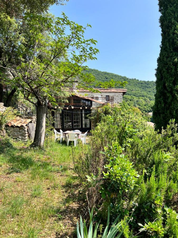 Les Gites D'Ardaillers Valleraugue Bagian luar foto