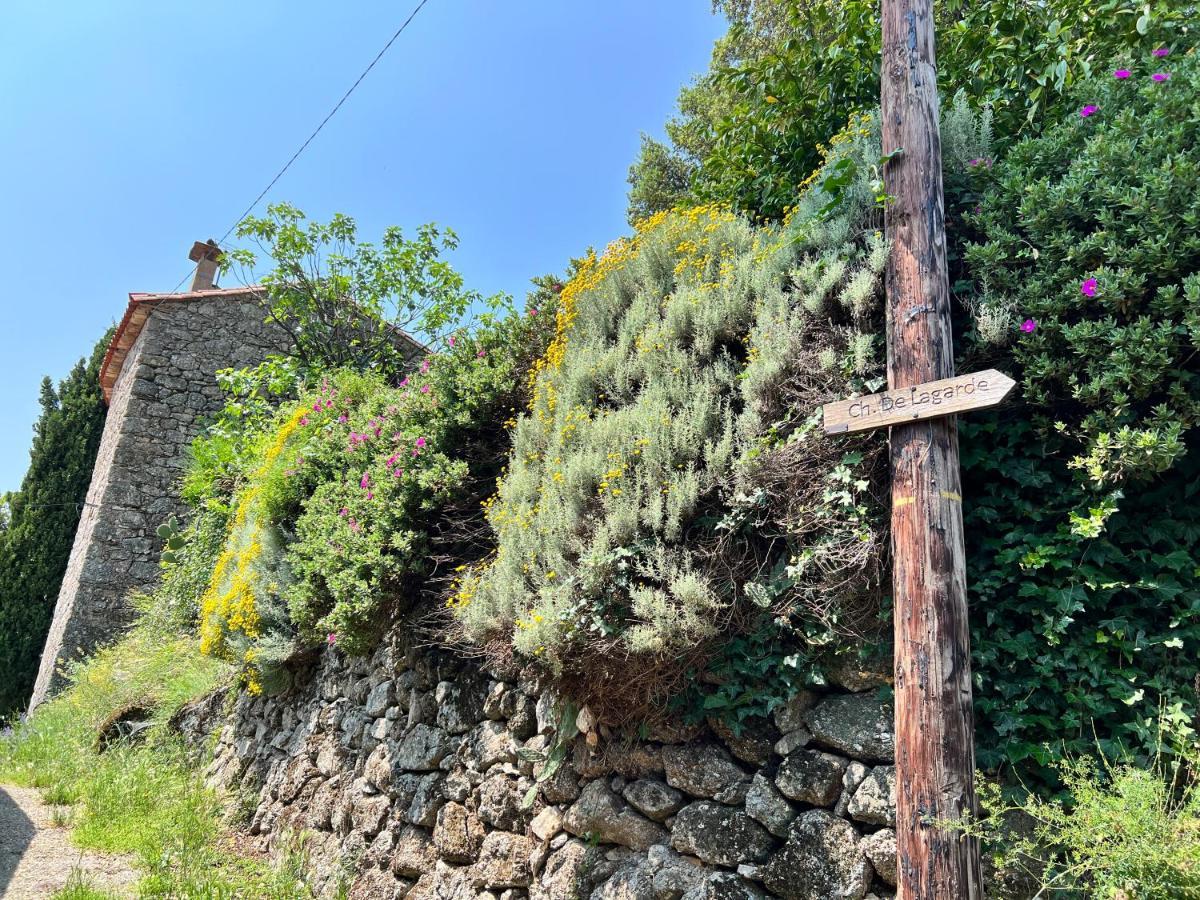 Les Gites D'Ardaillers Valleraugue Bagian luar foto